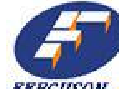 美國費戈斯FERGUSON計量泵