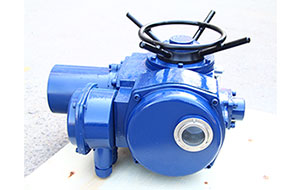 美國(guó)peckwomy氣動(dòng)執(zhí)行器